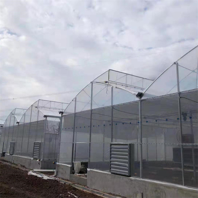 Hot Dip Galvanized Steel Pipe Greenhouse บ้านเรือนเรือนเรือนเรือนเรือนเรือนเรือนเรือนเรือนเรือนเรือนเรือนเรือน