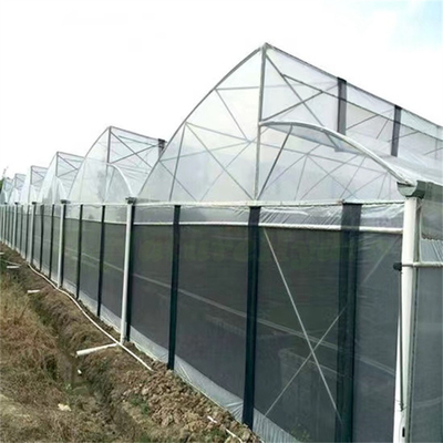 Hot Dip Galvanized Steel Pipe Greenhouse บ้านเรือนเรือนเรือนเรือนเรือนเรือนเรือนเรือนเรือนเรือนเรือนเรือนเรือน