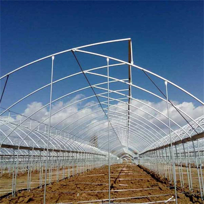 Hot Dip Galvanized Steel Pipe Greenhouse บ้านเรือนเรือนเรือนเรือนเรือนเรือนเรือนเรือนเรือนเรือนเรือนเรือนเรือน