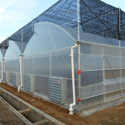 Hot Dip Galvanized Steel Pipe Greenhouse บ้านเรือนเรือนเรือนเรือนเรือนเรือนเรือนเรือนเรือนเรือนเรือนเรือนเรือน