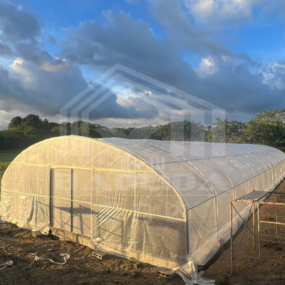 การเกษตรพืชปลูกอุโมงค์เรือนกระจก ขายออนไลน์ 20m Tunnel Single-span Greenhouse