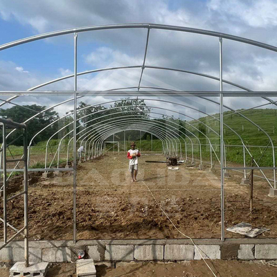 การเกษตรพืชปลูกอุโมงค์เรือนกระจก ขายออนไลน์ 20m Tunnel Single-span Greenhouse