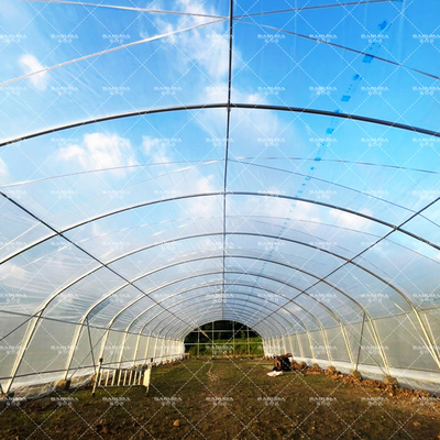 การเกษตรพืชปลูกอุโมงค์เรือนกระจก ขายออนไลน์ 20m Tunnel Single-span Greenhouse