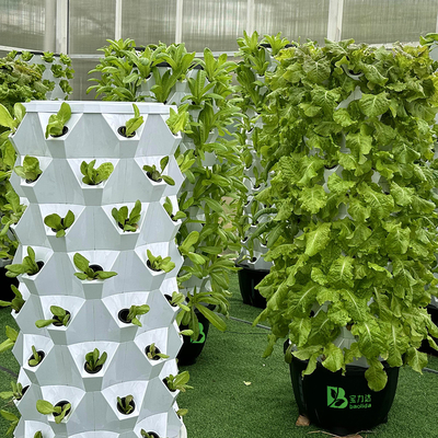 Growart Tower ระบบการปลูกน้ําอัตโนมัติสายน้ําที่เห็นได้เห็น ประหยัดพื้นที่ ABS