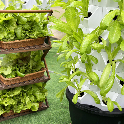 ABS PP Hydroponics ระบบชลประทานชั้นนําสําหรับการผลิตพืชที่ยั่งยืน