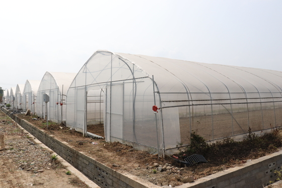Polytunnel ศรีลังกาโคลัมโบโครงเหล็กเรือนกระจกช่วงเดียว
