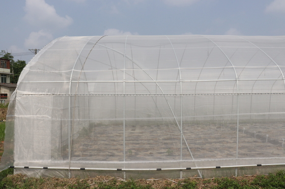 Polytunnel ศรีลังกาโคลัมโบโครงเหล็กเรือนกระจกช่วงเดียว