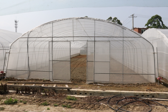 Polytunnel ศรีลังกาโคลัมโบโครงเหล็กเรือนกระจกช่วงเดียว