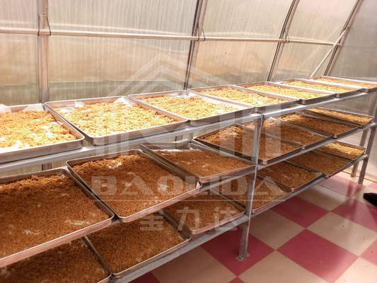 คณะกรรมการโพลีคาร์บอเนต Chilli Drying เครื่องเป่าเรือนกระจกพลังงานแสงอาทิตย์สำหรับผักผลไม้