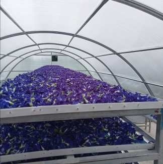 PC Board Drying Greenhouse With Ventilation Equipment For Vegetables And Herbs ที่ใช้งานได้อย่างยาวนาน สําหรับผักและสมุนไพร