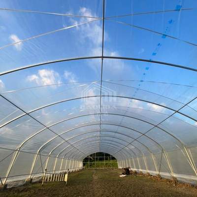 ห้องเรือนกระจกหลายประการขนาด 6x15m พร้อมการส่งแสงที่ดีกว่า