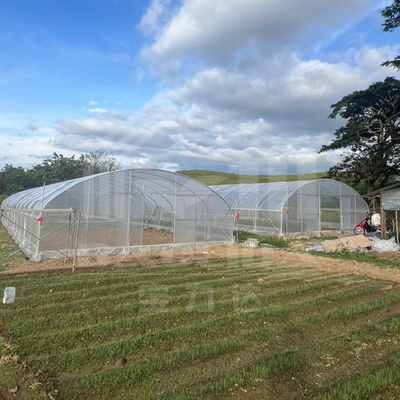 ห้องเรือนกระจกหลายประการขนาด 6x15m พร้อมการส่งแสงที่ดีกว่า