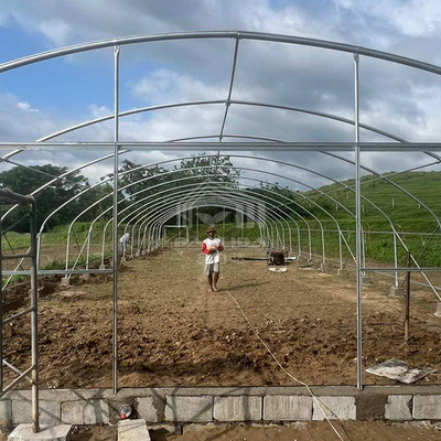 ห้องเรือนกระจกหลายประการขนาด 6x15m พร้อมการส่งแสงที่ดีกว่า