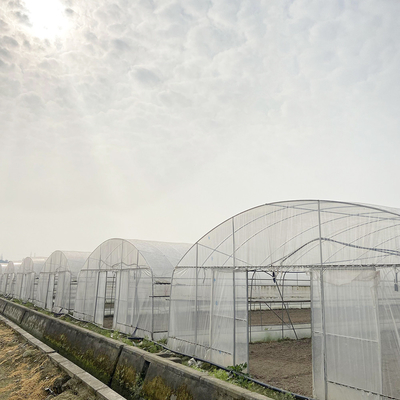 ห้องเรือนกระจกขนาด 6x15m สําหรับโครงการปลูกดอกไม้และผัก
