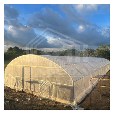 โรงเรือนกระจกกรอบเหล็กกันสนิม สําหรับการเกษตรตลอดปี