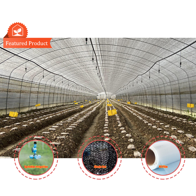 Serre Gewachshaus Sklenik Serra Invernadero Greenhouse สําหรับการปลูกผัก
