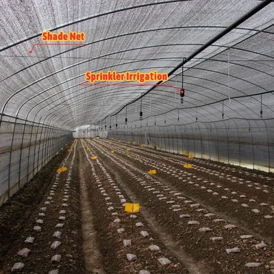 เครื่องระบายอากาศแบบช่างหรือไฟฟ้าที่สามารถปรับแต่งได้
