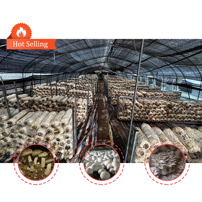 ความสูงข้าง 1.2-1.8m และพื้นที่โค้ง 1-1.5m หมากรุก โพลีทุนเนล หนองเรือนกระจก ป้องกัน UV