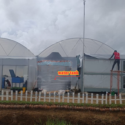 โรงพืชดอกไม้และพืชผัก โรงพฤกษ์เรือนกระจก Quonset Hut โรงพฤกษ์เรือนกระจก โรงพฤกษ์เรือนกระจกที่เชื่อมต่อกับน้ําท่วม โรงพฤกษ์เรือนกระจกขนาดใหญ่ที่มีการอากาศบนหลังคา