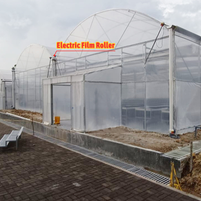 โรงพืชดอกไม้และพืชผัก โรงพฤกษ์เรือนกระจก Quonset Hut โรงพฤกษ์เรือนกระจก โรงพฤกษ์เรือนกระจกที่เชื่อมต่อกับน้ําท่วม โรงพฤกษ์เรือนกระจกขนาดใหญ่ที่มีการอากาศบนหลังคา