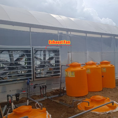 โรงพืชดอกไม้และพืชผัก โรงพฤกษ์เรือนกระจก Quonset Hut โรงพฤกษ์เรือนกระจก โรงพฤกษ์เรือนกระจกที่เชื่อมต่อกับน้ําท่วม โรงพฤกษ์เรือนกระจกขนาดใหญ่ที่มีการอากาศบนหลังคา
