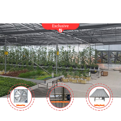 โรงพืชดอกไม้และพืชผัก โรงพฤกษ์เรือนกระจก Quonset Hut โรงพฤกษ์เรือนกระจก โรงพฤกษ์เรือนกระจกที่เชื่อมต่อกับน้ําท่วม โรงพฤกษ์เรือนกระจกขนาดใหญ่ที่มีการอากาศบนหลังคา