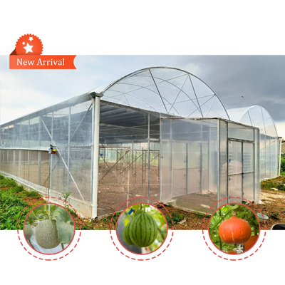 โรงพืชดอกไม้และพืชผัก โรงพฤกษ์เรือนกระจก Quonset Hut โรงพฤกษ์เรือนกระจก โรงพฤกษ์เรือนกระจกที่เชื่อมต่อกับน้ําท่วม โรงพฤกษ์เรือนกระจกขนาดใหญ่ที่มีการอากาศบนหลังคา