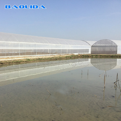 โรงเรือนกระจกยางยาว 8-60m ขนาดปรับแต่งได้ สําหรับการเกษตรและการผลิตดอกไม้
