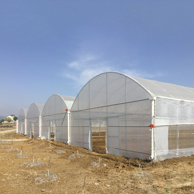 โรงเรือนกระจกยางยาว 8-60m ขนาดปรับแต่งได้ สําหรับการเกษตรและการผลิตดอกไม้