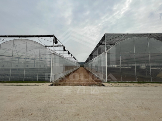 Baolida High Tunnel พลาสติกฟิล์ม Multi Span บ้านเขียวอุณหภูมิ บ้านเรือนเรือนเรือนเรือนกระจกเกษตร บ้านเรือนเรือนกระจกที่มีระบบเงา