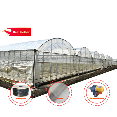 Baolida Custom อัตโนมัติ ระบบเรือนกระจก ระบบไฮโดรโปนิคทรอปิค ระบบหลายสเปนเรือนกระจก
