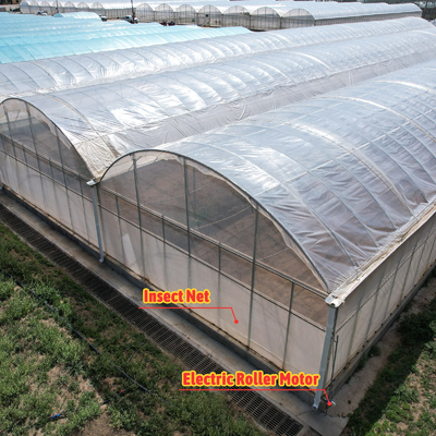 Baolida Custom อัตโนมัติ ระบบเรือนกระจก ระบบไฮโดรโปนิคทรอปิค ระบบหลายสเปนเรือนกระจก