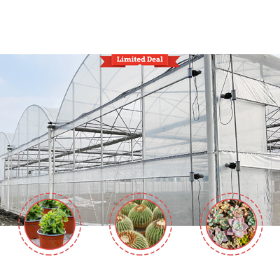 โซลูชั่นการเกษตรพืชผัก 8-60m ขนาดปรับเปลี่ยน โรงเรือนกระจกการเกษตร