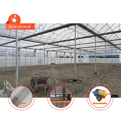 โซลูชั่นการเกษตรพืชผัก 8-60m ขนาดปรับเปลี่ยน โรงเรือนกระจกการเกษตร