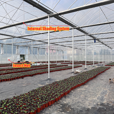 โซลูชั่นการเกษตรพืชผัก 8-60m ขนาดปรับเปลี่ยน โรงเรือนกระจกการเกษตร