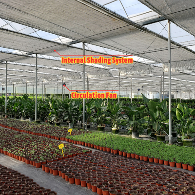 โซลูชั่นการเกษตรพืชผัก 8-60m ขนาดปรับเปลี่ยน โรงเรือนกระจกการเกษตร
