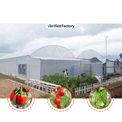 โรงเรือนกระจกการเกษตรหลายสเปน ความกว้าง 6m-12m กับ 150/200micron PE Film