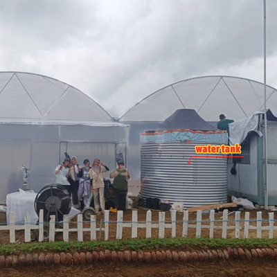 โรงเรือนกระจกการเกษตรหลายสเปน ความกว้าง 6m-12m กับ 150/200micron PE Film