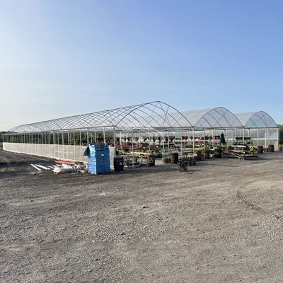 โรงเรือน BAOLIDA ขนาด 24x40 เมตร แบบช่วงเดียว พร้อมแผ่นฟิล์ม PE หนา 150 ไมครอน