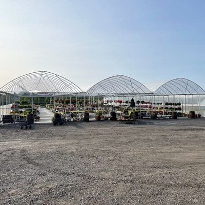 โรงเรือน BAOLIDA ขนาด 24x40 เมตร แบบช่วงเดียว พร้อมแผ่นฟิล์ม PE หนา 150 ไมครอน