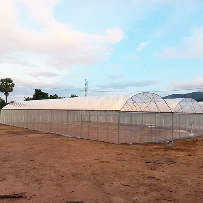 โรงเรือน BAOLIDA ขนาด 24x40 เมตร แบบช่วงเดียว พร้อมแผ่นฟิล์ม PE หนา 150 ไมครอน