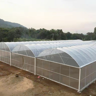 โรงเรือน BAOLIDA ขนาด 24x40 เมตร แบบช่วงเดียว พร้อมแผ่นฟิล์ม PE หนา 150 ไมครอน