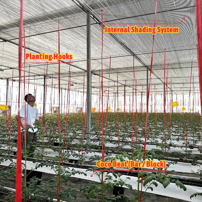 โรงเรือนกระจกหลายสเปน 6.8m สเปนด้วย 100-200ไมครอน PE ฟิล์ม