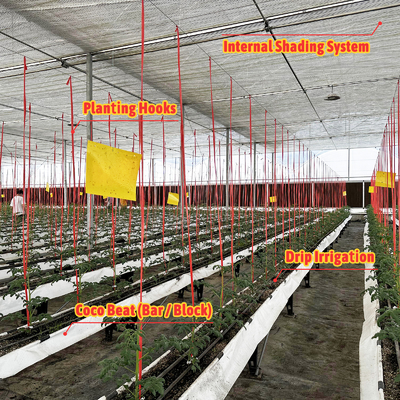 โรงเรือนกระจกหลายสเปน 6.8m สเปนด้วย 100-200ไมครอน PE ฟิล์ม