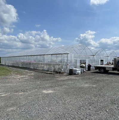 โรงเรือน PE ขนาดใหญ่หลายช่วง ความยาว 50-100 เมตร ความกว้าง 7-10 เมตร
