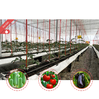 โครงสร้างเหล็กเหล็กเหล็กกระดาษเรือนกระจก 6m-12m Span กับ 150/200micron PE Film
