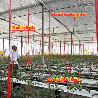 โครงสร้างเหล็กเหล็กเหล็กกระดาษเรือนกระจก 6m-12m Span กับ 150/200micron PE Film