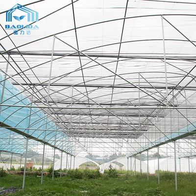 ชุดโรงเรือนกระจกหลายช่วง 6ม.-12ม. พร้อมฟิล์ม PE และรับประกัน 10 ปี