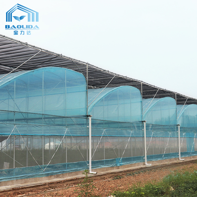 ชุดโรงเรือนกระจกหลายช่วง 6ม.-12ม. พร้อมฟิล์ม PE และรับประกัน 10 ปี