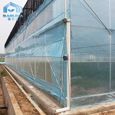 6m-12m Multi-Span PE Film Greenhouse Kit พร้อมการรับประกัน 10 ปี